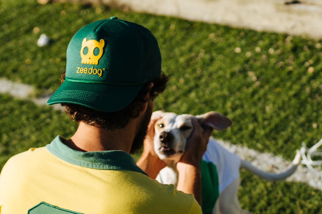 zeedog-bone-brasil