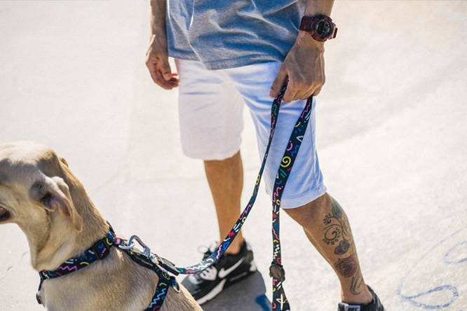 Novas Estampas Zee.Dog - Peitoral e guia para cachorro Kaboom Novas Estampas Zee.Dog - Peitoral e guia para cachorro Kaboom